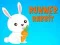 Mäng Runner Rabbit Internetis