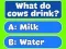 Mäng Trivia Best Family Quiz Internetis