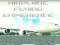 Mäng Airplane Flying Expierence Internetis