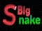 Mäng Big Snake.io Internetis