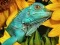 Mäng Ultimate Puzzles Animals 6 Internetis