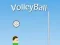 Mäng VolleyBall Internetis