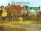 Mäng Mysterious Password Forest Autumn Edition 2 Internetis