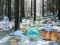 Mäng Winter Wonderland Forest Adventure Internetis
