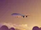Mäng Vacation Airplanes Jigsaw Internetis
