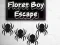 Mäng Floret Boy Escape Internetis