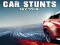 Mäng Car Stunts Sky Tour Internetis