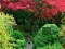Mäng Maple Leaf Garden Escape Internetis