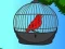 Mäng Red Bird Rescue Internetis