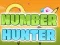 Mäng Number Hunter Internetis