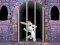 Mäng Victory Rabbit Escape Internetis