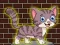 Mäng Loveable Small Cat Escape Internetis