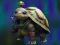 Mäng Isolated Turtle Escape Internetis