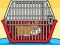 Mäng Rescue The Hamster From Cage Internetis