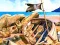 Mäng Pirate Mysteries Internetis