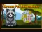 Mäng Dream Pet Dimensions Internetis