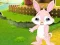 Mäng Find The Buddy Rabbit Internetis