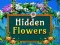 Mäng Hidden Flowers Internetis