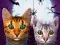 Mäng Cat Simulator Online Internetis