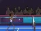 Mäng Badminton Brawl Internetis