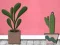 Mäng Find Houseplant Internetis