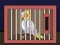 Mäng Release The Cockatiel Bird Internetis