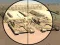 Mäng Camo Sniper Internetis