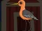 Mäng Cute Godwit Escape Internetis