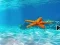 Mäng Escape From Underwater Starfish Internetis