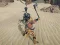 Mäng The Scythian Warrior Internetis