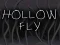 Mäng Hollow Fly Internetis