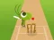Mäng Doodle Cricket Internetis