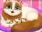 Mäng Cute Kitty Pregnant Internetis