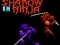 Mäng Shadow of the Ninja Internetis