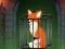 Mäng Fox in the Forgotten Ruins Internetis