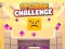 Mäng Sponge Challenge Internetis