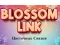 Mäng Blossom Link Internetis