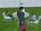Mäng Millionaire Simulator 2024 Internetis