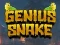 Mäng Genius Snake Internetis