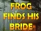 Mäng Frog Finds His Bride Internetis