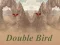 Mäng Double Bird Internetis