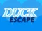 Mäng Duck Escape Internetis