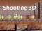 Mäng Shooting 3D Internetis
