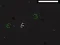 Mäng Bad Timing Internetis