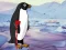 Mäng Heal the Wounded Penguin Internetis
