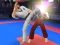 Mäng Karate Fighter Internetis