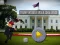 Mäng Trump Wobble Walk Challenge Internetis