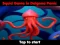 Mäng Squid Game In Dalgona Panic Internetis