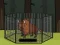 Mäng Rescue the Bison from Cage Internetis