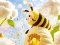Mäng Find The Differences: Little Bee's Adventure Internetis
